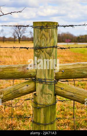 Detail von Holz Bauernhof Zaun mit Stacheldraht und Frühlingsfelder Stockfoto