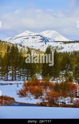 Wunderschöne Schneeberggipfel mit Bach und roten Gräsern im Vordergrund Stockfoto