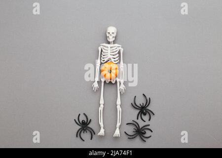 Skelett mit Kürbis und schwarzen Spinnen auf grauem Hintergrund. halloween-Konzept. Stockfoto