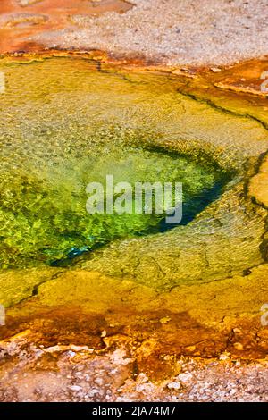 Grünes Wasser der Yellowstone-Quelle Stockfoto