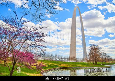 Gateway Arch in St. Louis bei Kirschbäumen und Teich Stockfoto