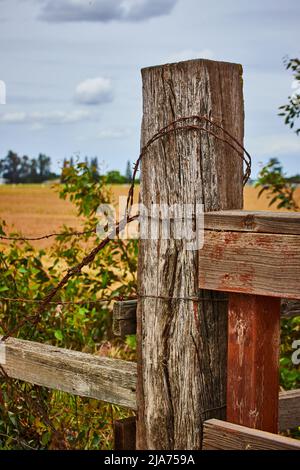 Detail von Holz Landwirtschaft Zaun mit Stacheldraht und Feld im Hintergrund Stockfoto