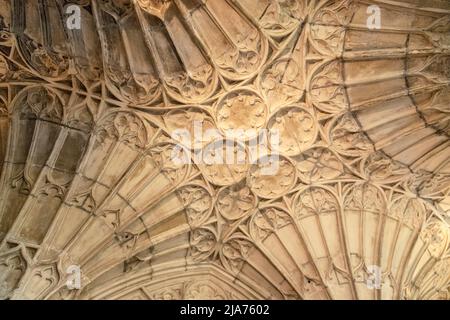 Detailansicht der exquisiten Muster in der gewölbten Decke der Gloucester Cathedral, Gloucestershire, England, Vereinigtes Königreich. Stockfoto