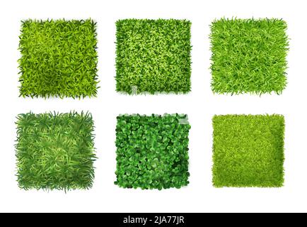 Bodenabdeckung Pflanzen Hintergrund Textur 6 realistische quadratische Symbole mit grünem Gras Kleeblätter Vektor-Illustration gesetzt Stock Vektor