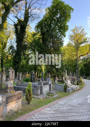 Lviv, Ukraine 05.26.2022 - Lytschakivske Friedhof Gemeinde alt in Lviv Stockfoto