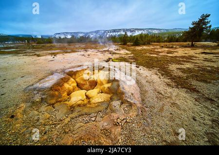 Geysire im Yellowstone Biscuit Basin im Winter Stockfoto