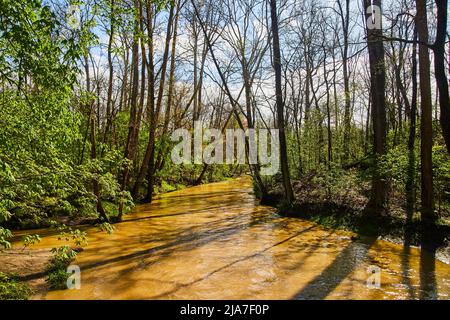 Brown River im Wald im späten Frühjahr Stockfoto