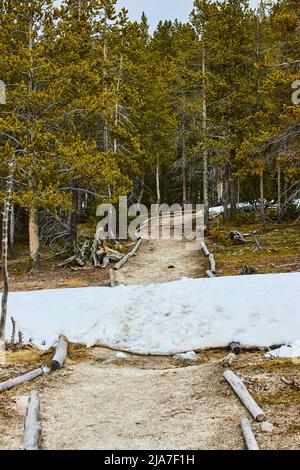 Wanderweg bedeckt mit Streifen von großem Schnee im Pinienwald Stockfoto
