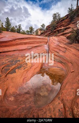 Wasser geschnitzte Felsen der vielen Pools Bereich des Zion National Park in Utah Stockfoto