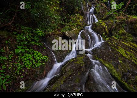 Ort von tausend Tropfen im Great Smoky Mountain National Park Stockfoto