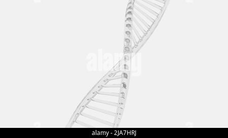Medizinischer Hintergrund der DNA. Biotechnologisches Helix-Gen. Weißer futuristischer Hintergrund. Stockfoto