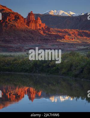 Fisher Towers und schneebedeckte La Sal Mountains in der Nähe von Castle Valley, Utah Stockfoto