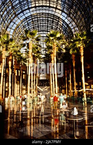 Das Wintergarten-Atrium im ehemaligen World Financial Center, jetzt Brookfield Place in New York City Stockfoto