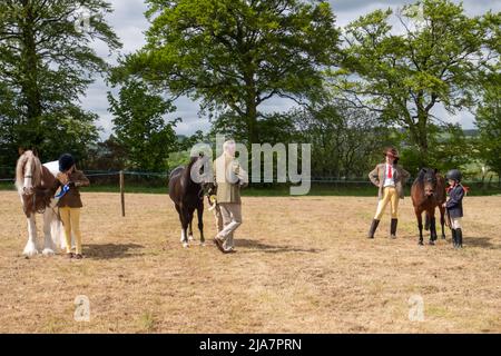 Lesmahagow, Schottland, Großbritannien. 28.. Mai 2022. Pferde und Ponys, die auf der Landwirtschafts-Ausstellung in Lesmahagow urteilen, da sie nach einer zweijährigen Abwesenheit aufgrund der Covid-19-Pandemie zurückkehren wird. Diese Veranstaltung ist seit 1807 ein jährliches Ereignis und feiert die Fähigkeiten der lokalen Bevölkerung und umfasst Viehvorführung, Schafhundversuche, Schafsschurerei, Tauziehen, Pferde- und Pony-Beurteilung und eine Oldtimer-Traktorparade. Kredit: Skully/Alamy Live Nachrichten Stockfoto