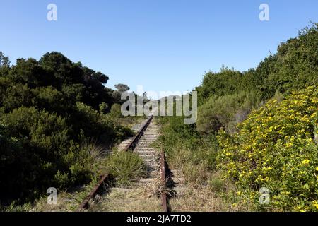 Die verlassenen Dampfeisenbahnstrecken in Wilderness City, an der Garden Route von Südafrika Stockfoto