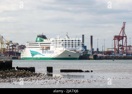 Poolbeg, Dublin, Irland. 28.. Mai 2022. An einem warmen und sonnigen Tag in der irischen Hauptstadt, Schiff Irish Ferries 'W.B. Yeats segelt am Nachmittag vom Hafen von Dublin nach Cherbourg, Frankreich. Der Rest des Wochenendes wird sonnig mit Temperaturen von 16C bis 20C. Quelle: AG News/Alamy Live News Stockfoto