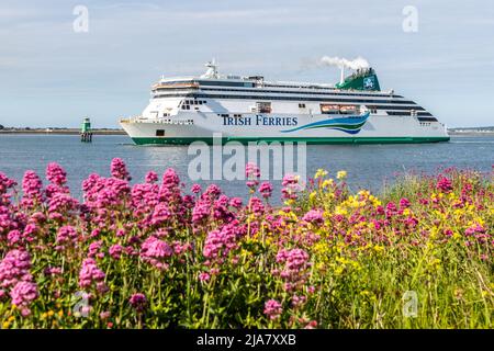 Poolbeg, Dublin, Irland. 28.. Mai 2022. An einem warmen und sonnigen Tag in der irischen Hauptstadt, der größten Autofähre der Welt, kommt die 'Ulysses' mit der 14,10 aus Holyhead, Großbritannien, segelnden Fähre an. Der Rest des Wochenendes wird sonnig mit Temperaturen von 16C bis 20C. Quelle: AG News/Alamy Live News Stockfoto