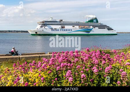 Poolbeg, Dublin, Irland. 28.. Mai 2022. An einem warmen und sonnigen Tag in der irischen Hauptstadt, der größten Autofähre der Welt, kommt die 'Ulysses' mit der 14,10 aus Holyhead, Großbritannien, segelnden Fähre an. Der Rest des Wochenendes wird sonnig mit Temperaturen von 16C bis 20C. Quelle: AG News/Alamy Live News Stockfoto