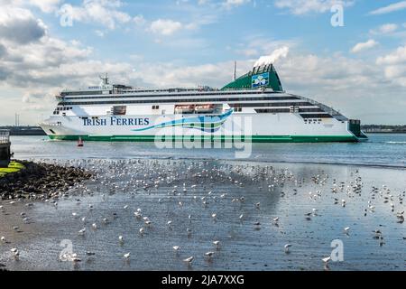 Poolbeg, Dublin, Irland. 28.. Mai 2022. An einem warmen und sonnigen Tag in der irischen Hauptstadt, der größten Autofähre der Welt, kommt die 'Ulysses' mit der 14,10 aus Holyhead, Großbritannien, segelnden Fähre an. Der Rest des Wochenendes wird sonnig mit Temperaturen von 16C bis 20C. Quelle: AG News/Alamy Live News Stockfoto