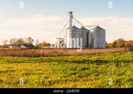 Getreideaufzug mit großen Lagertanks aus Wellblech im warmen Abendlicht im Herbst Stockfoto