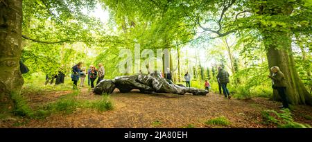 Edinburgh, Schottland. Sa, 28. Mai 2022. Besucher am Eröffnungstag von Tracey Emins Ausstellung ‘I Lay Here for You’ im Jupiter Artland. Die ursprünglich für 2020 geplante und durch die Covid-19-Pandemie und die Krebsdiagnose von Emin verzögerte Ausstellung ist Tracey Emins erste schottische Schau seit 2008 und ist vom 28. Mai bis 2. Oktober 2022 geöffnet. Stockfoto