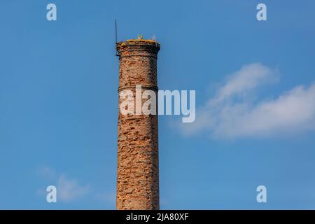 Ein alter ungenutzter Kamin aus roten Ziegeln, von denen einige abgeblättert sind. Sonniger Tag mit blauem Himmel und weißen Wolken im Hintergrund. Stockfoto