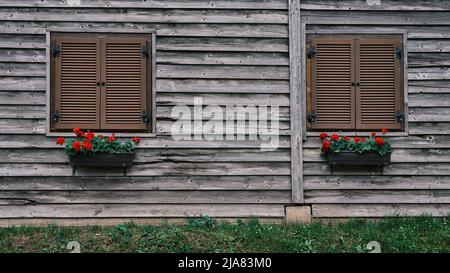 Holzfassade mit braunen Fensterläden und roten Blumenkästen in Hainburg, Österreich Stockfoto
