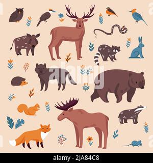 Waldtiere Farbset mit isolierten Bildern von kleinen und großen Wildtieren mit Blumen Blätter Vektor-Illustration Stock Vektor