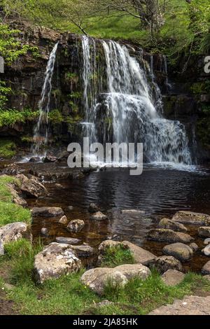 East Gill Force Wasserfall auf dem Fluss Swale in Swaledale in der Nähe des Pennine Way zwischen Keld und Muker in den North Yorkshire Dales, England. Stockfoto