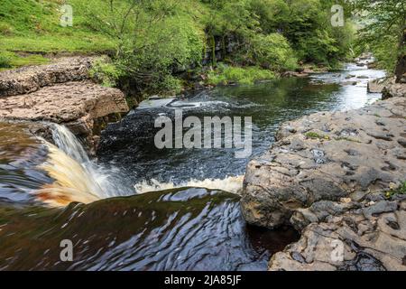 Upper Kisdon Force auf dem Fluss Swale bei Keld in Swaledale, Yorkshire Dales National Park, England Stockfoto