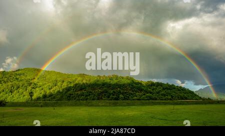 Ein bunter Regenbogen, der an einem Regentag über einer ländlichen Gegend zu sehen ist. Der Wald wird von dem bunten Phänomen und dem Sonnenlicht beleuchtet. Stockfoto