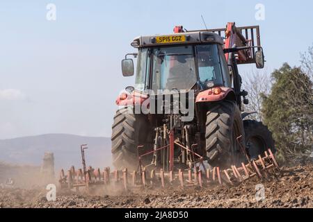 Ein Landwirt in einem Massey Ferguson-Traktor, der einen Kultivator auf einem trockenen gepflügten Feld führt Stockfoto