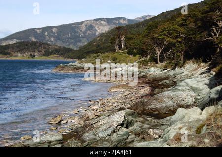 Bahía Lapataia en febrero, Ushuaria, Feuerland, Argentinien Stockfoto