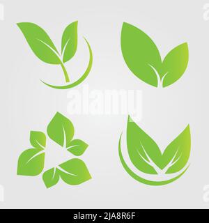 Symbol für grüne Blätter einstellen, natürliches Etikett auf weißem Hintergrund.Vektordarstellung Stock Vektor