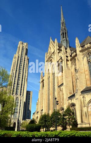 Die Heinz Memorial Chapel auf dem Campus der University of Pittsburgh Stockfoto