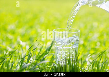 Wasser aus dem Krug, das auf grünem Hintergrund in Glas gießt Stockfoto