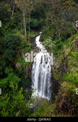 Daggs Falls Wasserfall nach Regen in Killarney Queensland Stockfoto