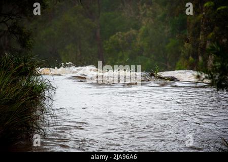 Blick über die Queen Mary Falls in der Nähe von Killarney Queensland Stockfoto