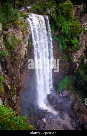 Queen Mary Falls Wasserfall nach Regen in der Nähe von Killarney Queensland Stockfoto