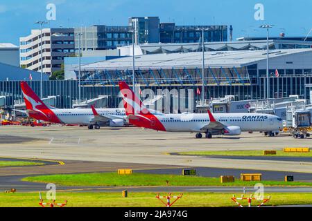 Flugbewegungen am Flughafen Sydney (Kingsford Smith) in der Botany Bay in Sydney, Australien. Im Bild: Qantas-Jets am Inlandsterminal. Stockfoto