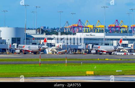 Flugbewegungen am Flughafen Sydney (Kingsford Smith) in der Botany Bay in Sydney, Australien. Im Bild: Jetstar Jet im Inlandsterminal. Stockfoto