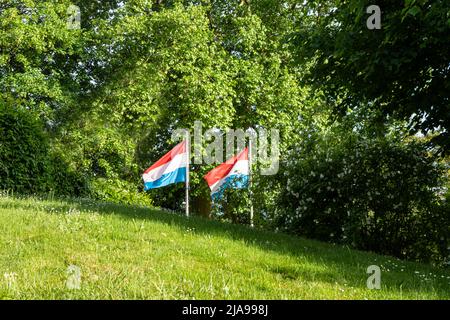 Luxemburg-Stadt, 2022. Mai. Die Luxemburger Flaggen fliegen in einem Park Stockfoto