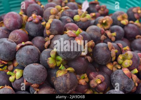 Frische reife Mangostan Früchte zum Verkauf in einem Supermarkt und Markt in Thailand, Königin der Früchte, Mangostan ist eine Frucht mit weißem Fleisch, süß und Feinkost Stockfoto