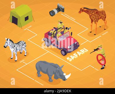 Safari isometrischer Flussdiagramm mit Fotokamera Giraffe Zebra Nashorn und Jagd Beschreibungen Vektor Illustration Stock Vektor