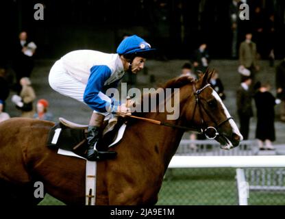 File Foto vom 26-10-1985 von Lester Piggott Reiten Free Guest. Lester Piggott, dessen Classic Haul neun Derby-Siege einschloss, ist im Alter von 86 Jahren gestorben, teilte sein Schwiegersohn William haggas mit. Ausgabedatum: Sonntag, 29. Mai 2022. Stockfoto