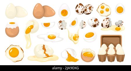 Geflügeleier Satz von ganzen gerissenen Reihe und Spiegeleier von Huhn und Wachtel isoliert auf weißem Hintergrund Vektorgrafik Stock Vektor