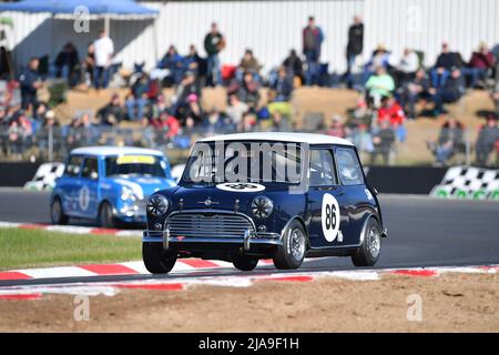 Winton, Australien. 29. Mai 2022. Jonathon French aus Südaustralien führt die Gruppe N-Klasse in Runde 3 des Winton Circuit in einem Morris Mini Cooper S aus dem Jahr 1964 an.Quelle: Karl Phillipson/Optikal/Alamy Live News Stockfoto