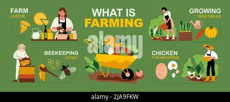 Bauernhof Infografik Set mit Käse Huhn und Bienenzucht Symbole Vektor-Illustration Stock Vektor