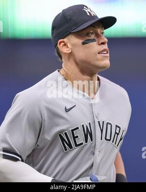 St. Petersburg, Florida. USA; Aaron Judge (99), der Rechtsfeldspieler der New York Yankees, tritt vor einem Major League-Baseballspiel beim Aufwärmen zum Dugout an Stockfoto