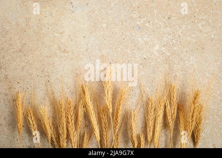 Glücklich Shavuot. Shavuot jüdischen Feiertag und Weizen. Stockfoto